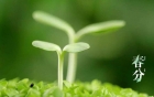 春風(fēng)十里不如你，金相砂紙和你一起迎接春天！
