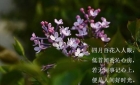 4月的正確打開方式，從一臺金相切割機開始