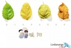 我們正在向冬天降落，金相拋光布給你溫暖！